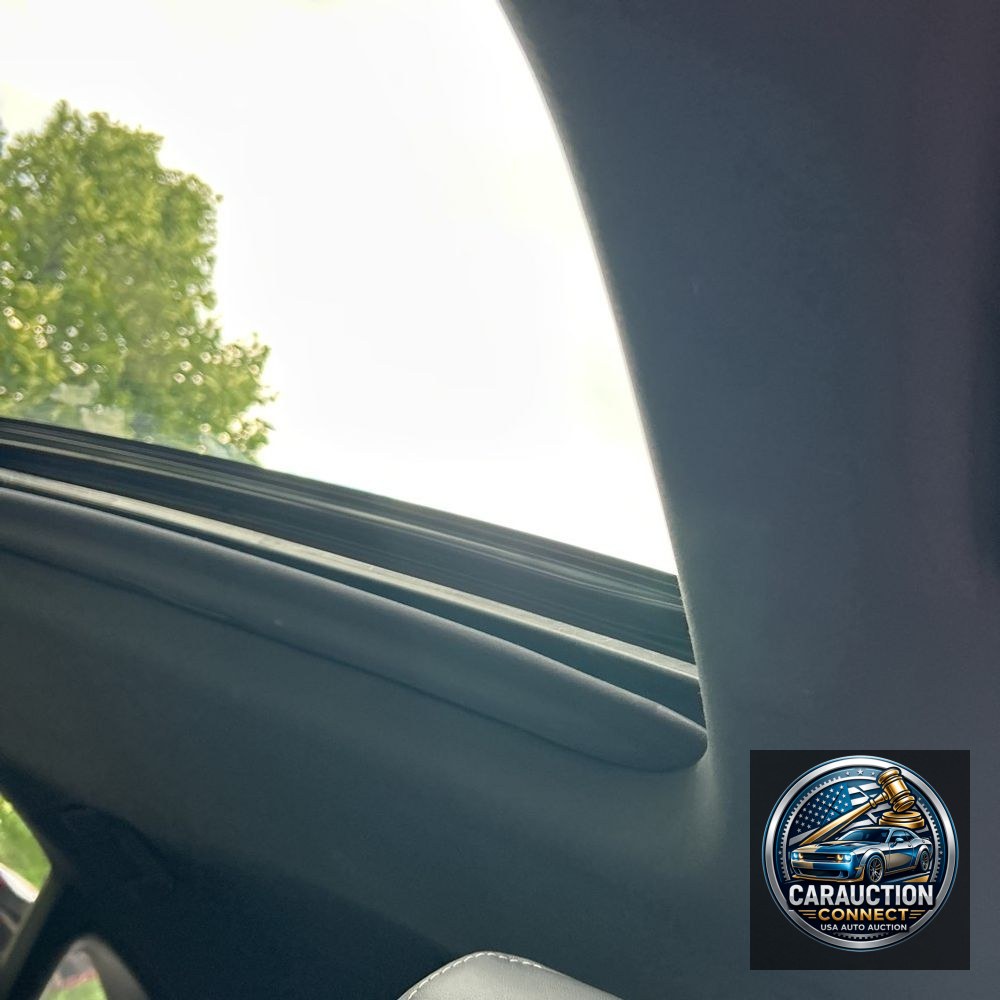 2023 Lexus RX 350 Premium+