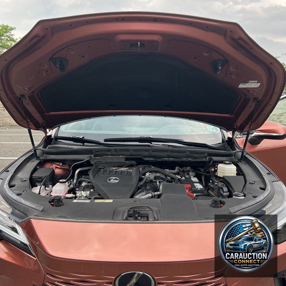 2023 Lexus RX 350 Premium+