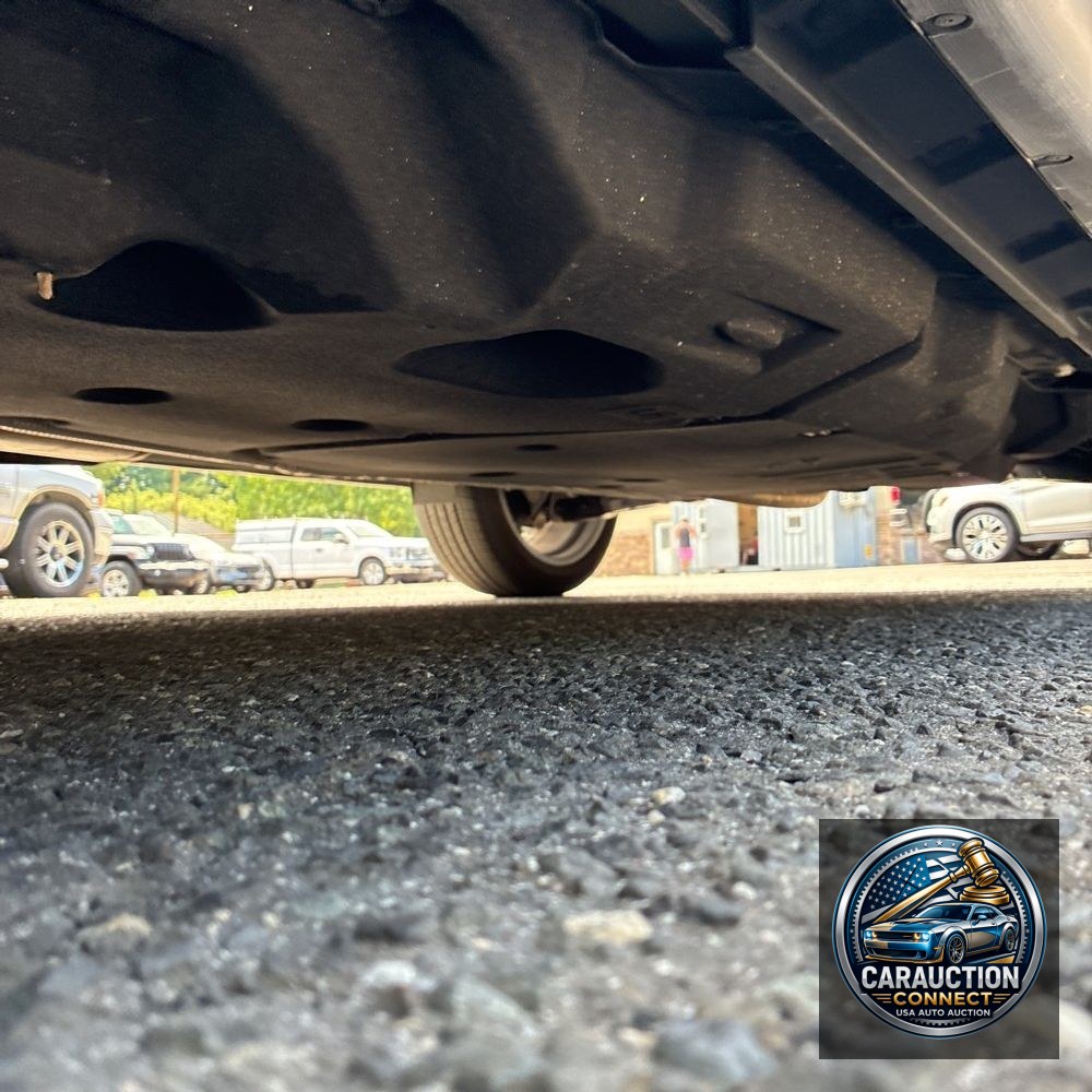 2023 Lexus RX 350 Premium+