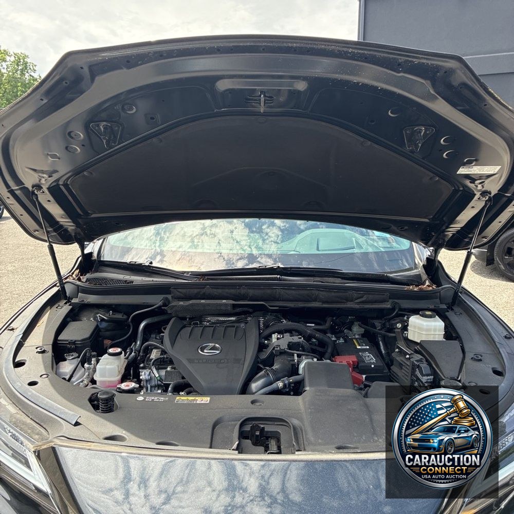 2023 Lexus RX 350 Premium+