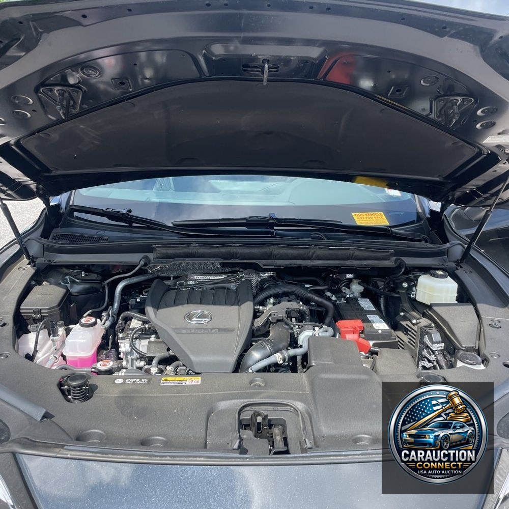 2025 Lexus RX 350 Premium