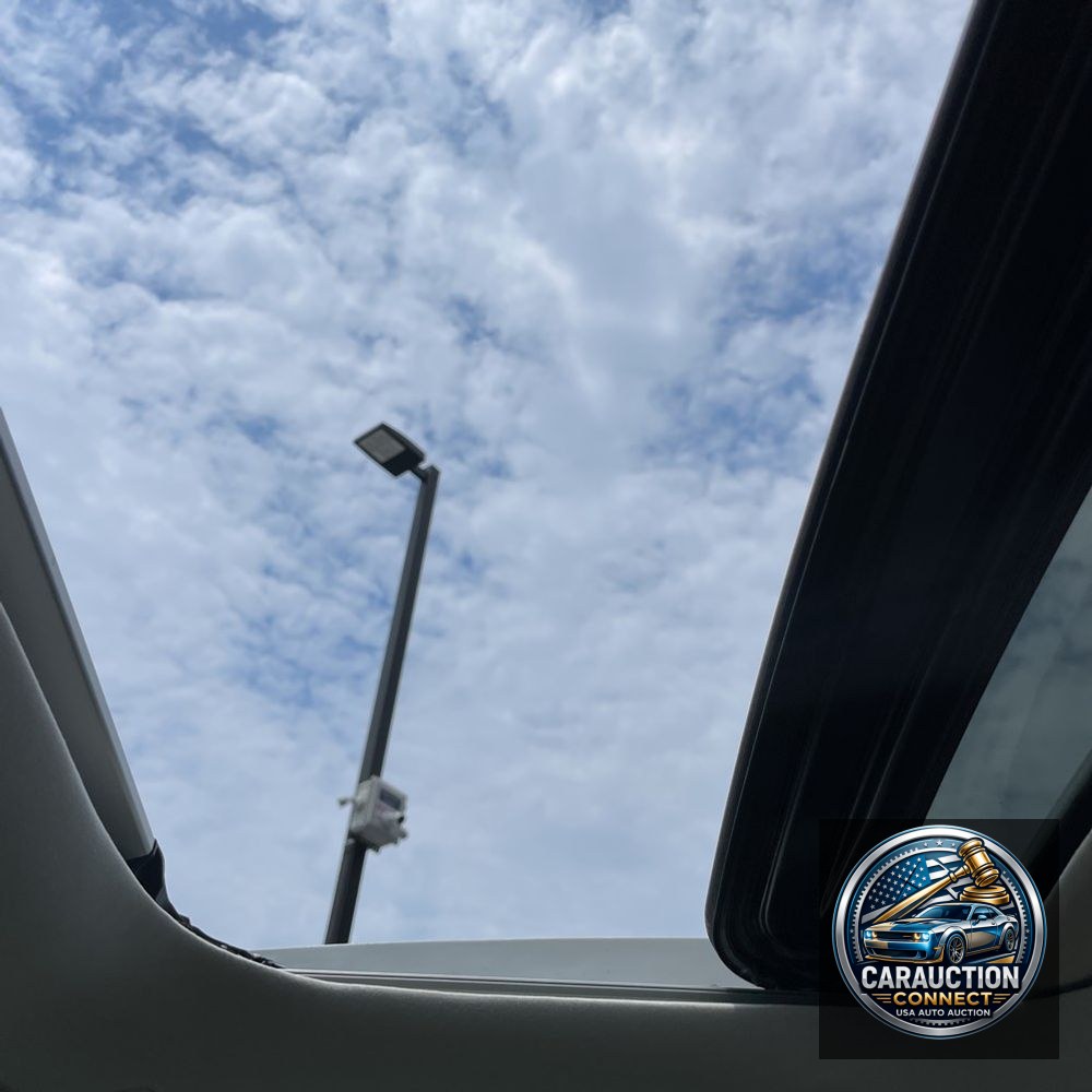 2023 Lexus RX 350 Premium+