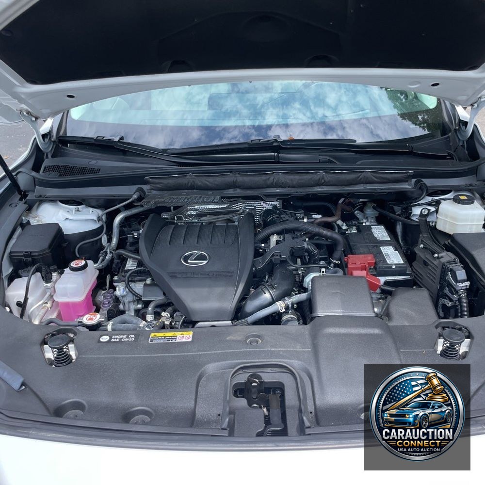 2023 Lexus RX 350 Premium+