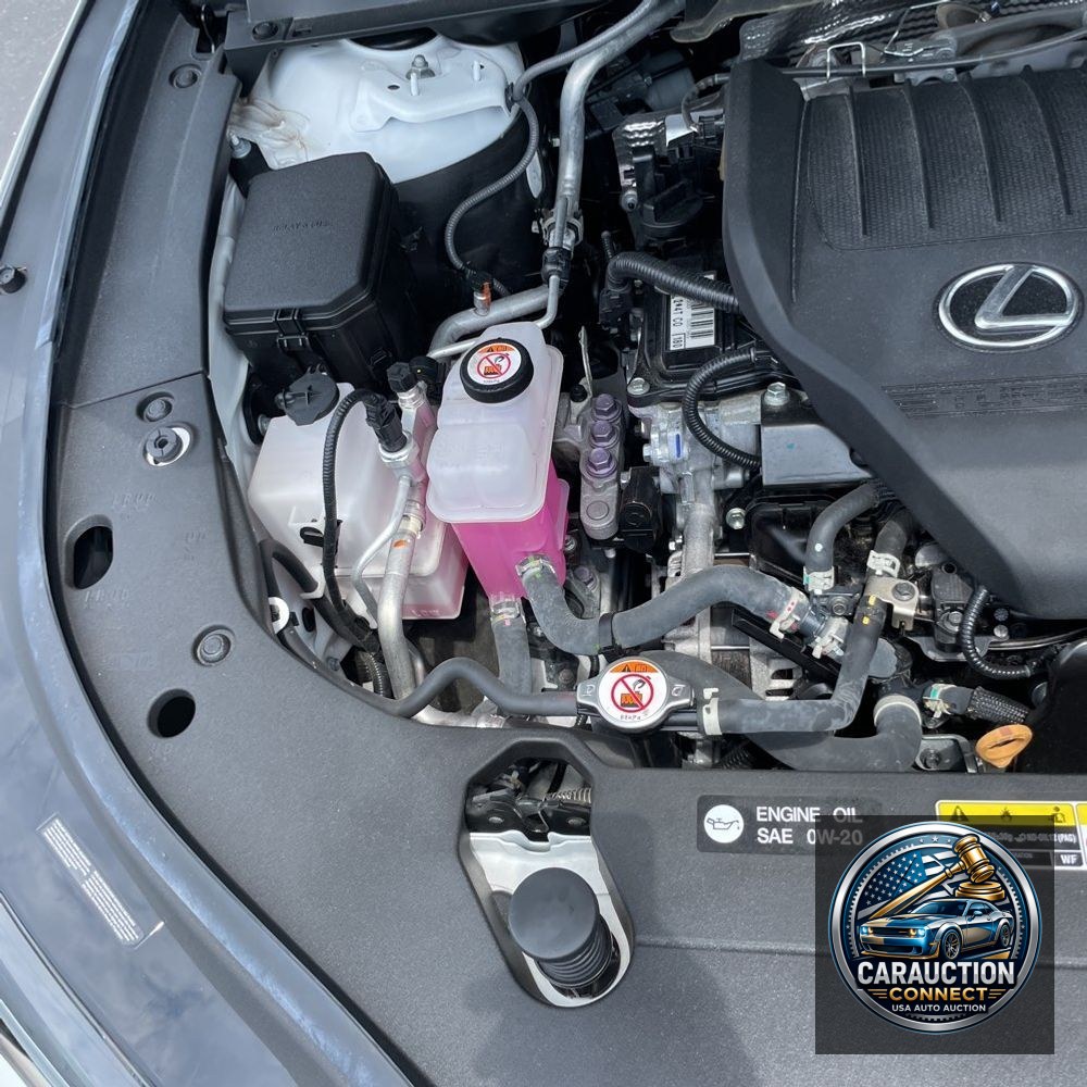 2023 Lexus RX 350 Premium+