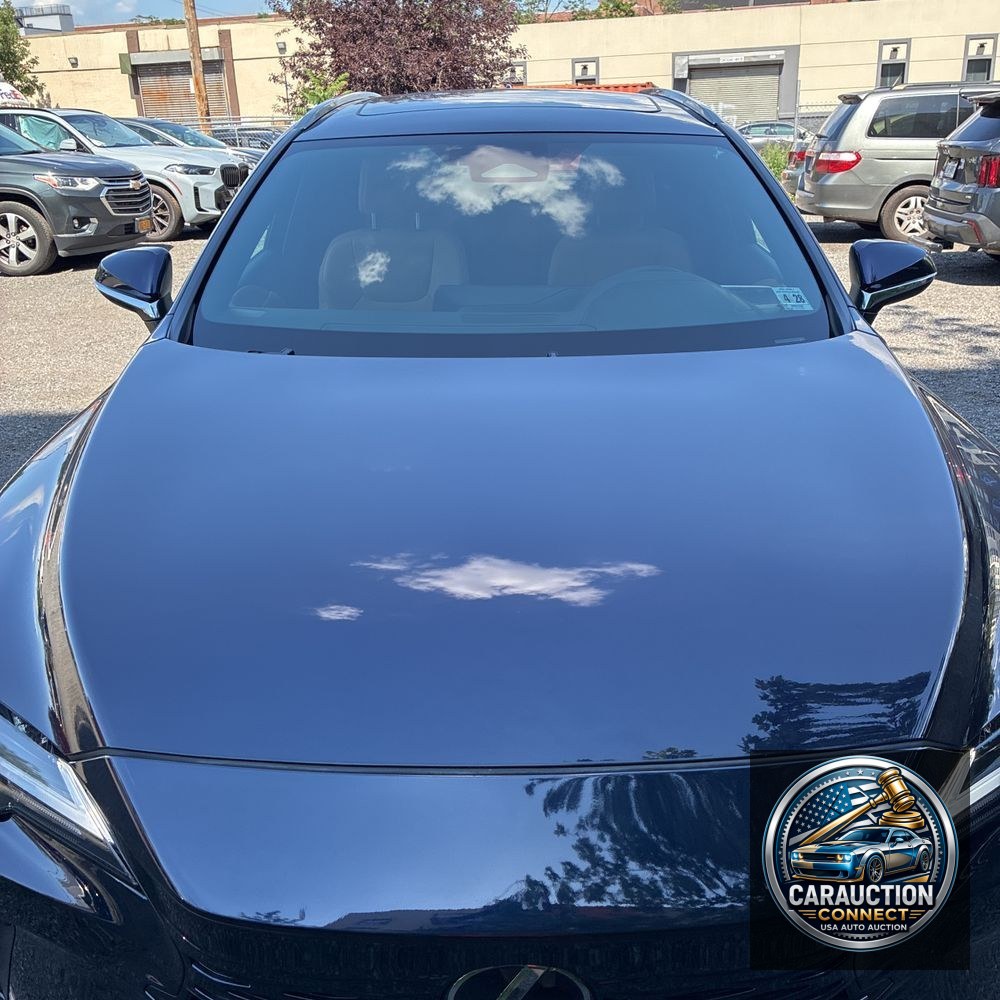 2023 Lexus RX 350 Premium+