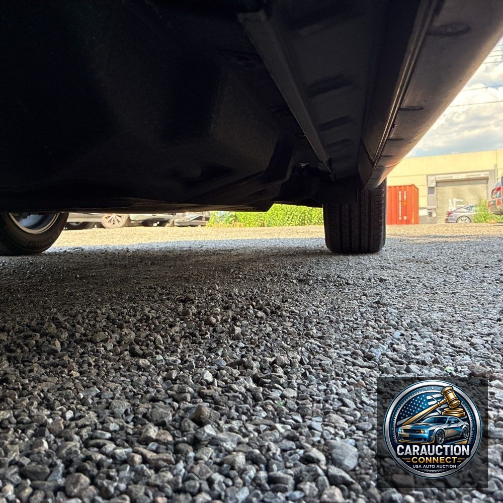 2023 Lexus RX 350 Premium+