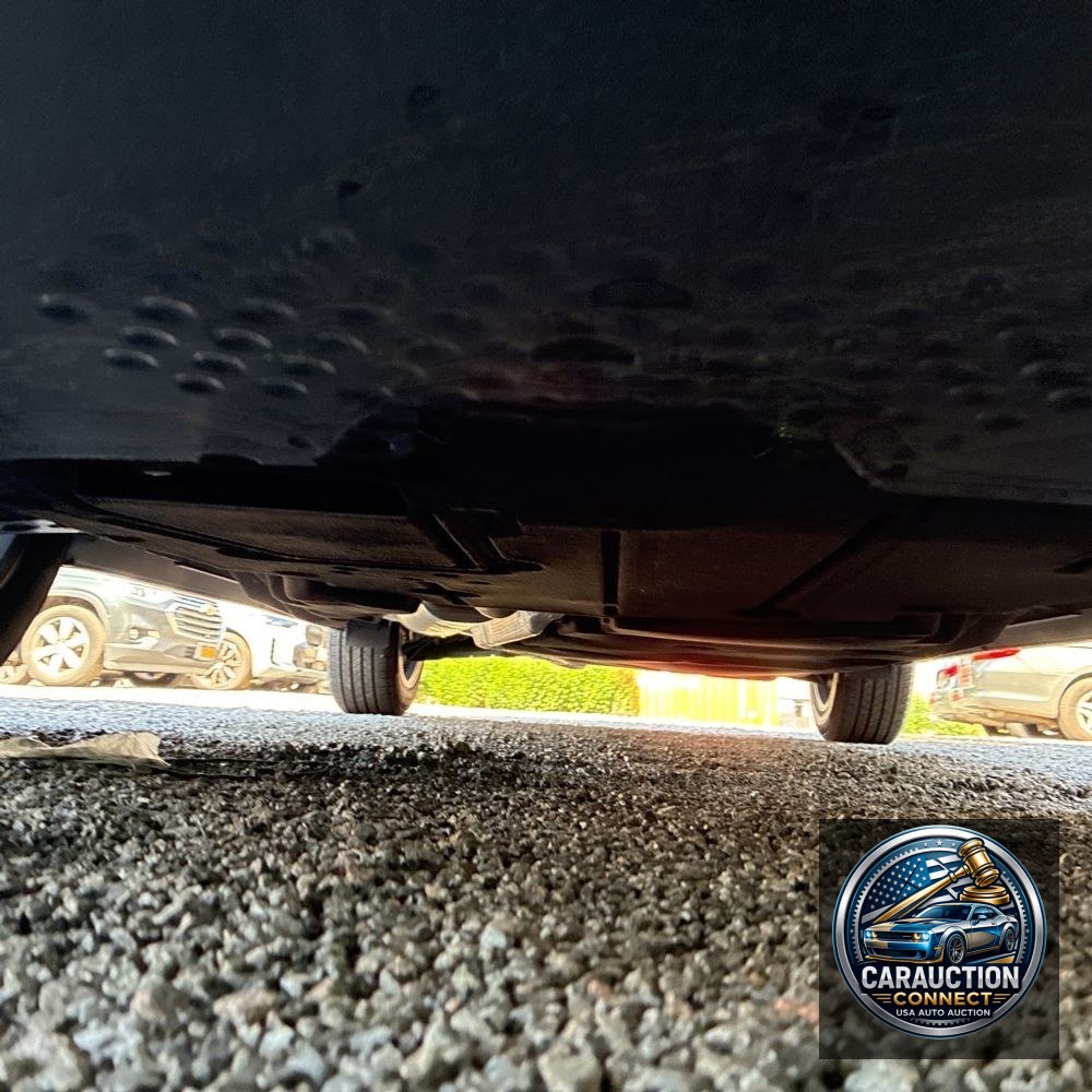 2023 Lexus RX 350 Premium+