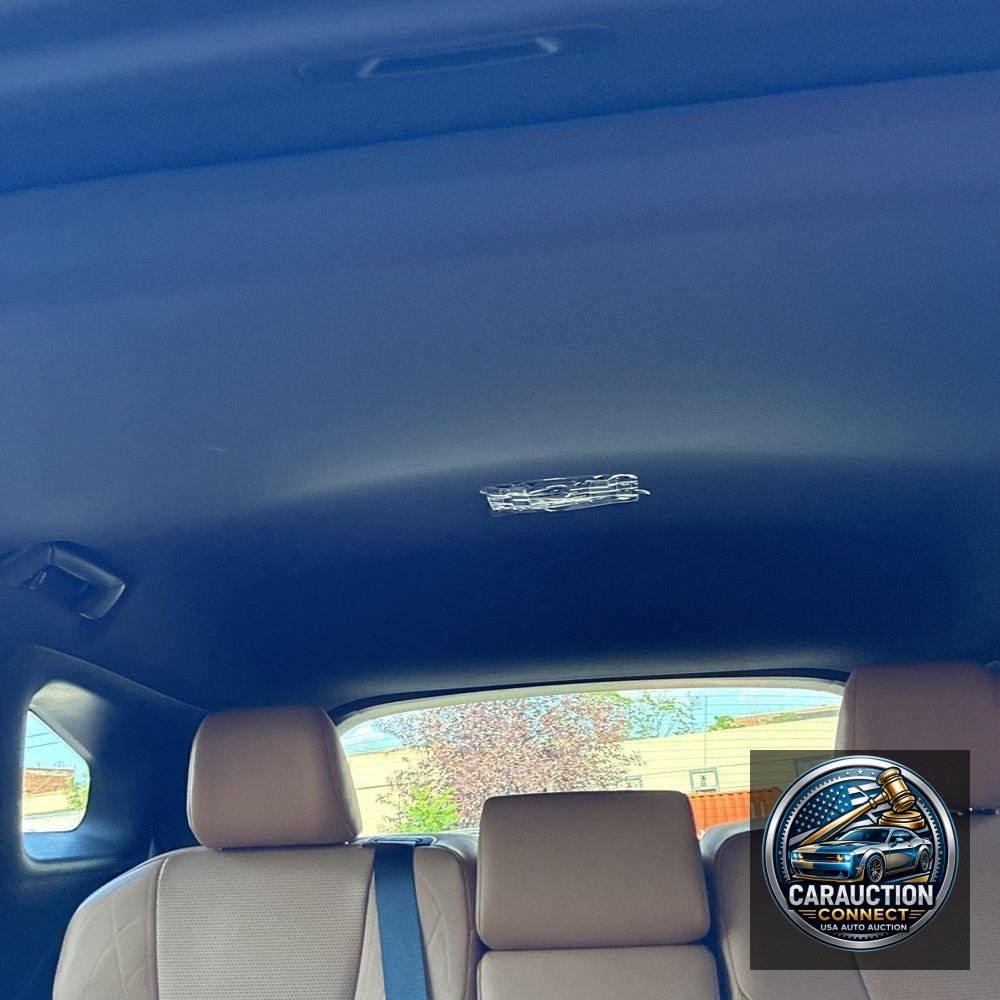 2023 Lexus RX 350 Premium+