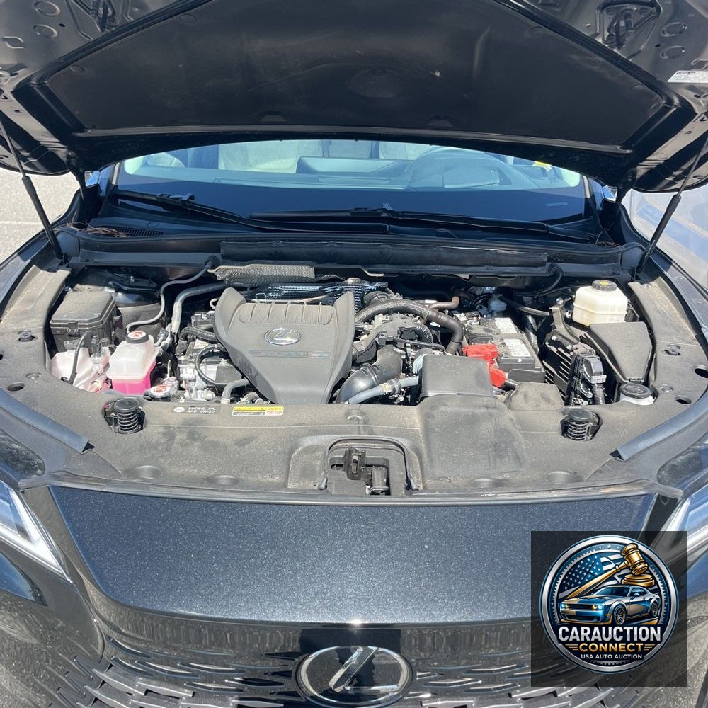2024 Lexus RX 350 Luxury