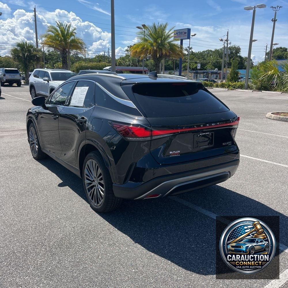 2024 Lexus RX 350 Luxury