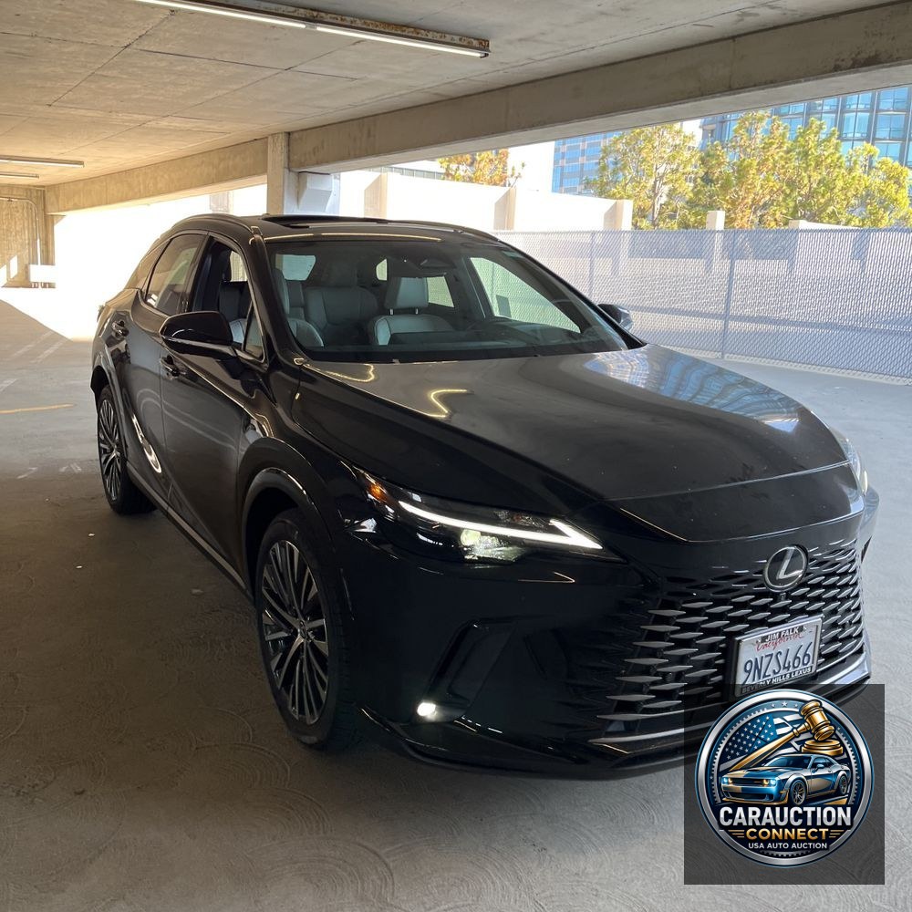 2024 Lexus RX 350h Premium+