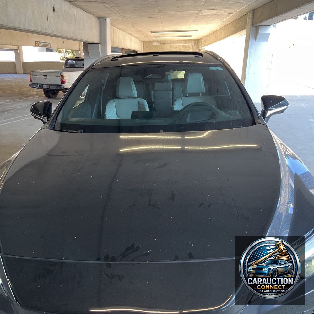 2024 Lexus RX 350h Premium+
