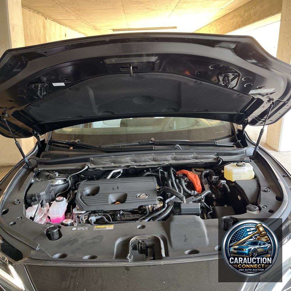 2024 Lexus RX 350h Premium+