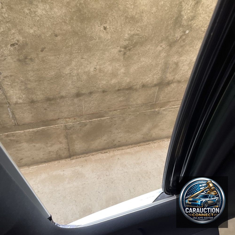2023 Lexus RX 350h Premium