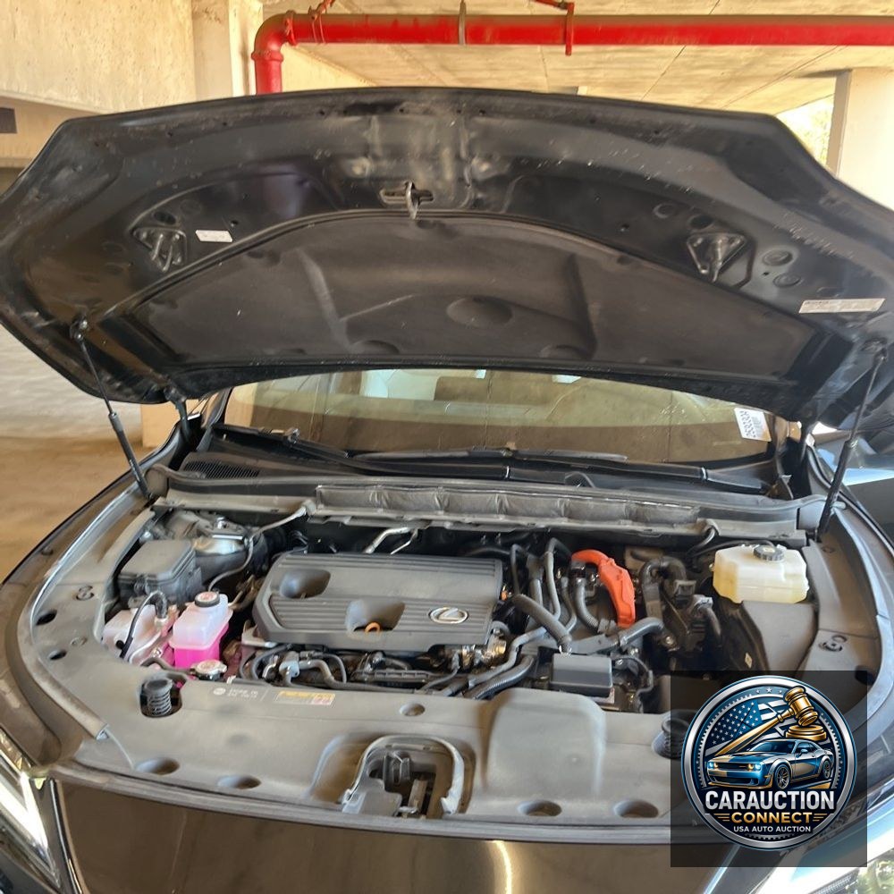 2023 Lexus RX 350h Premium