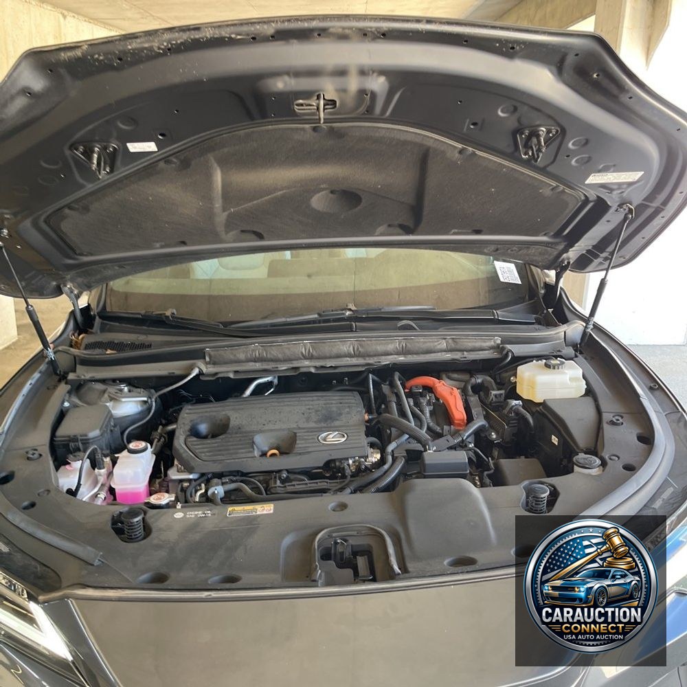 2024 Lexus RX 350h Premium