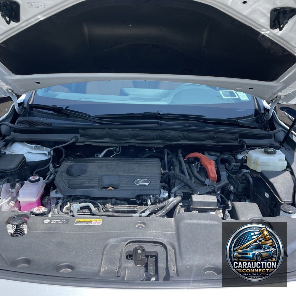 2023 Lexus RX 350h Premium