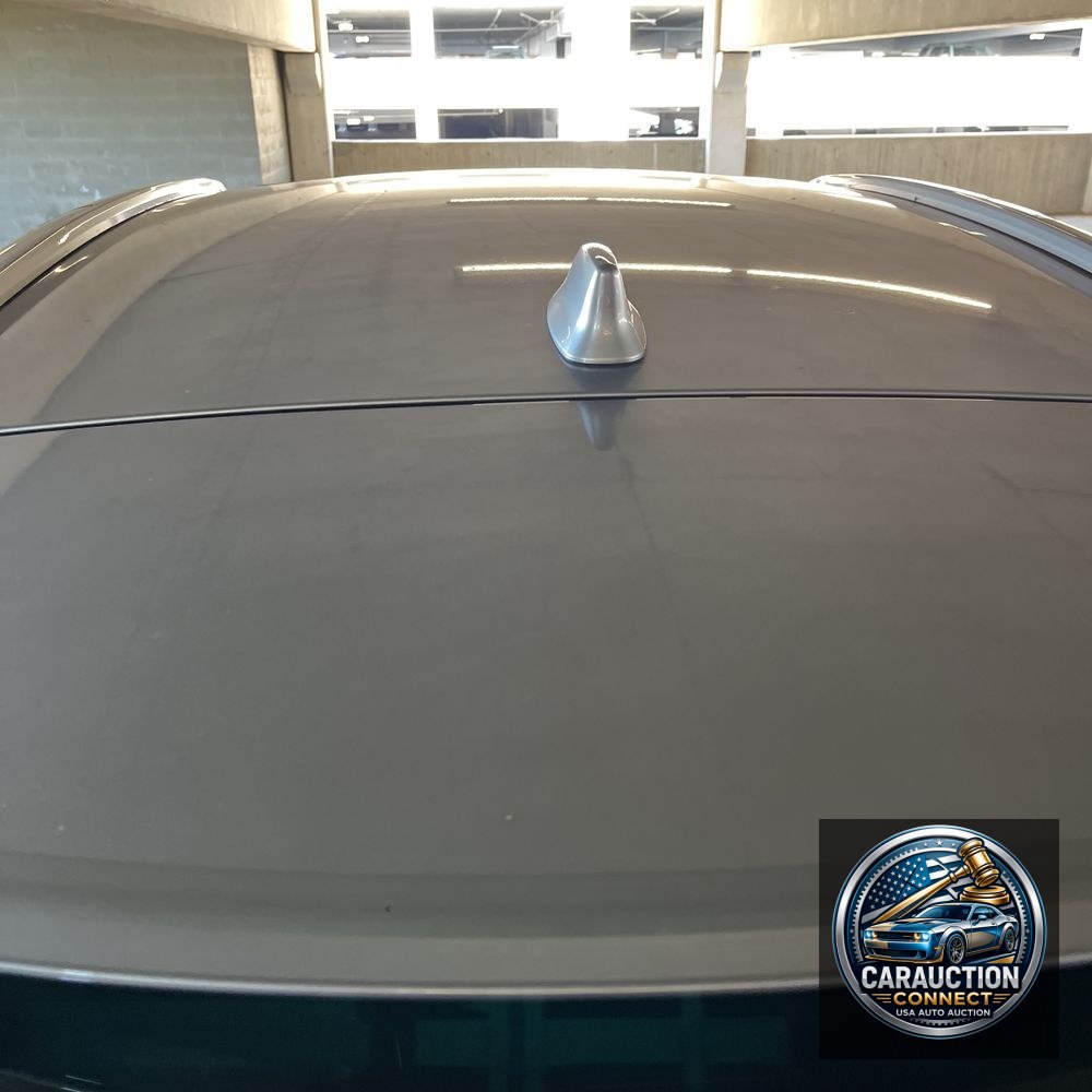 2024 Lexus RX 350h Premium+