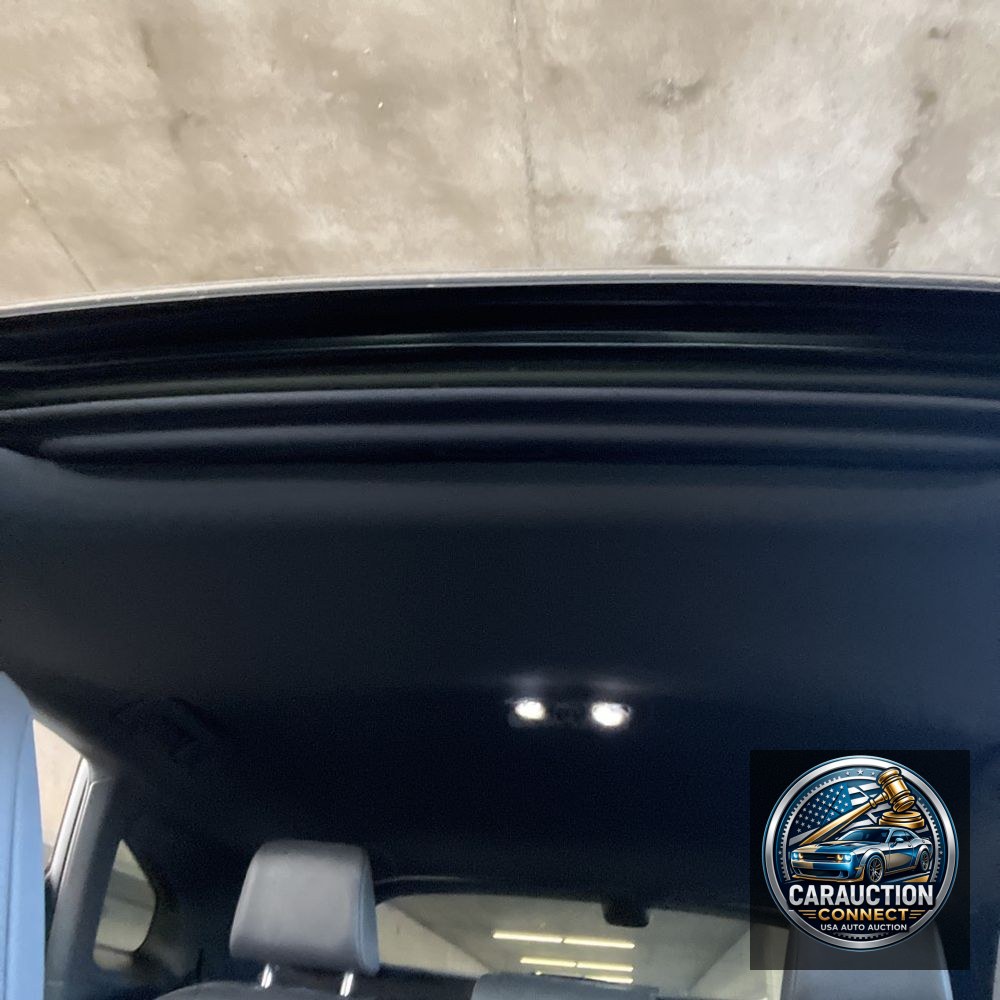 2024 Lexus RX 350h Premium+