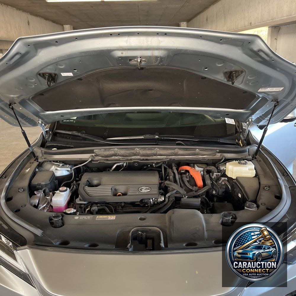 2024 Lexus RX 350h Premium+