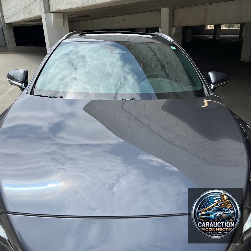 2024 Lexus RX 350h Premium