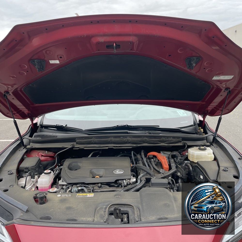 2023 Lexus RX 350h Premium
