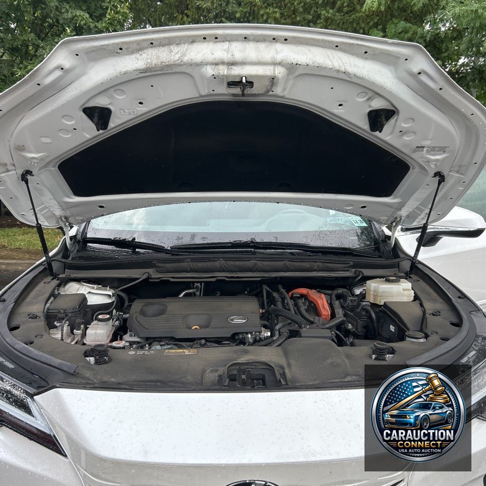 2024 Lexus RX 350h Premium