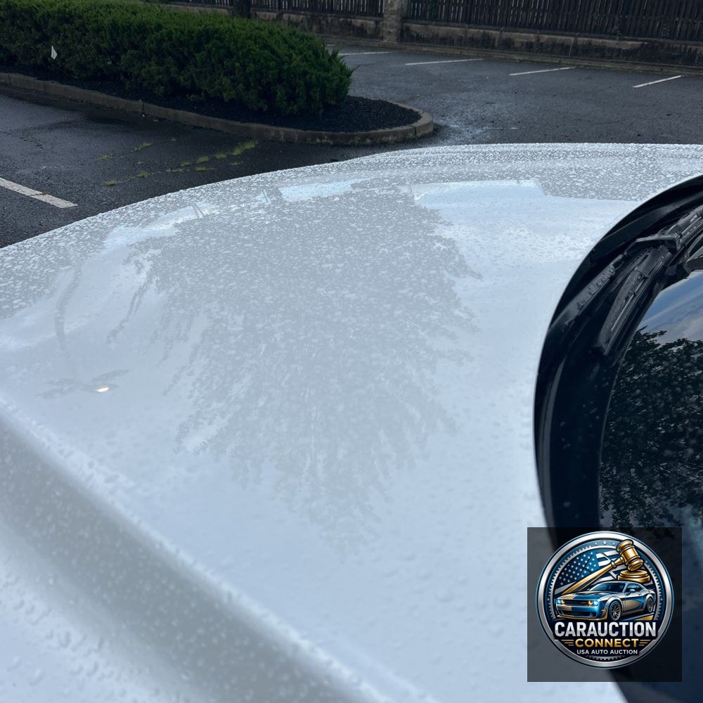 2024 Lexus RX 350h Premium