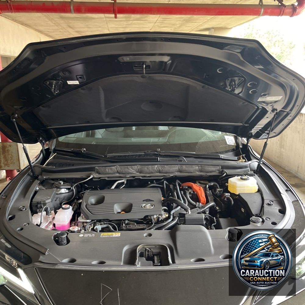 2024 Lexus RX 350h Premium
