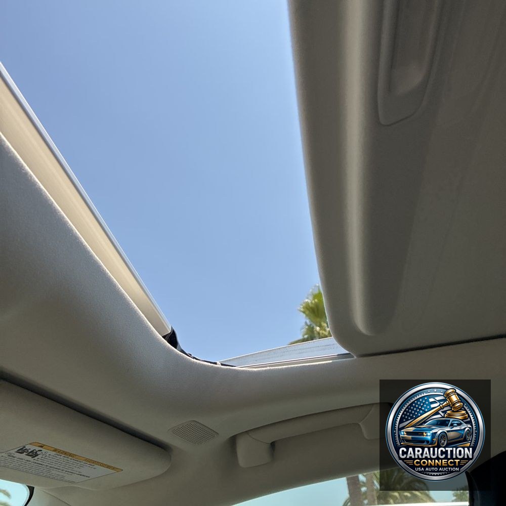 2024 Lexus RX 350h Premium+