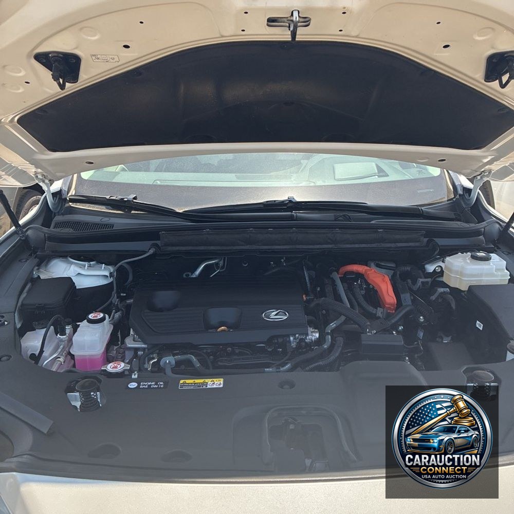 2024 Lexus RX 350h Premium+