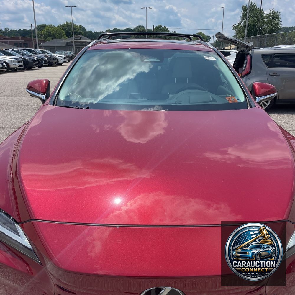 2024 Lexus RX 350h Premium+