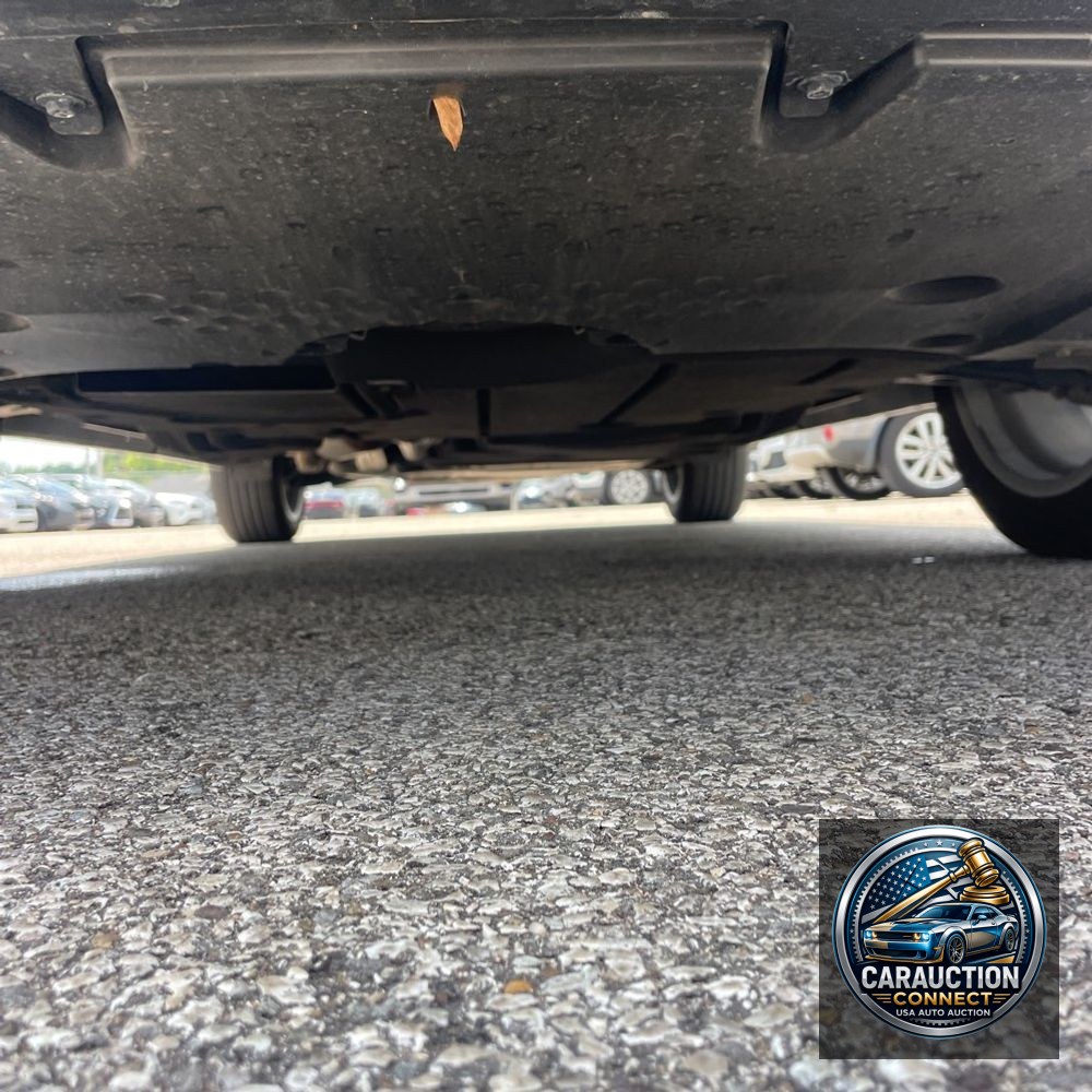 2024 Lexus RX 350h Premium+