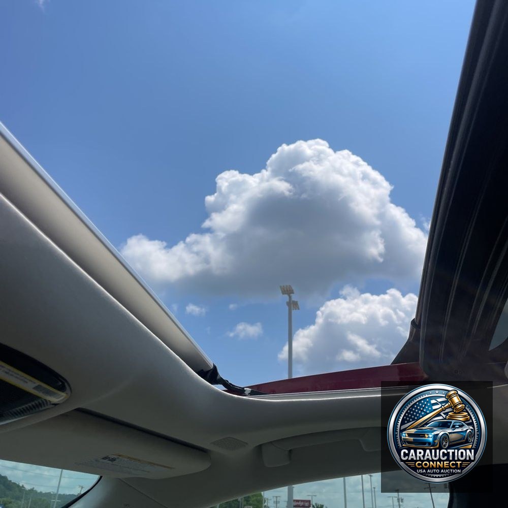 2024 Lexus RX 350h Premium+