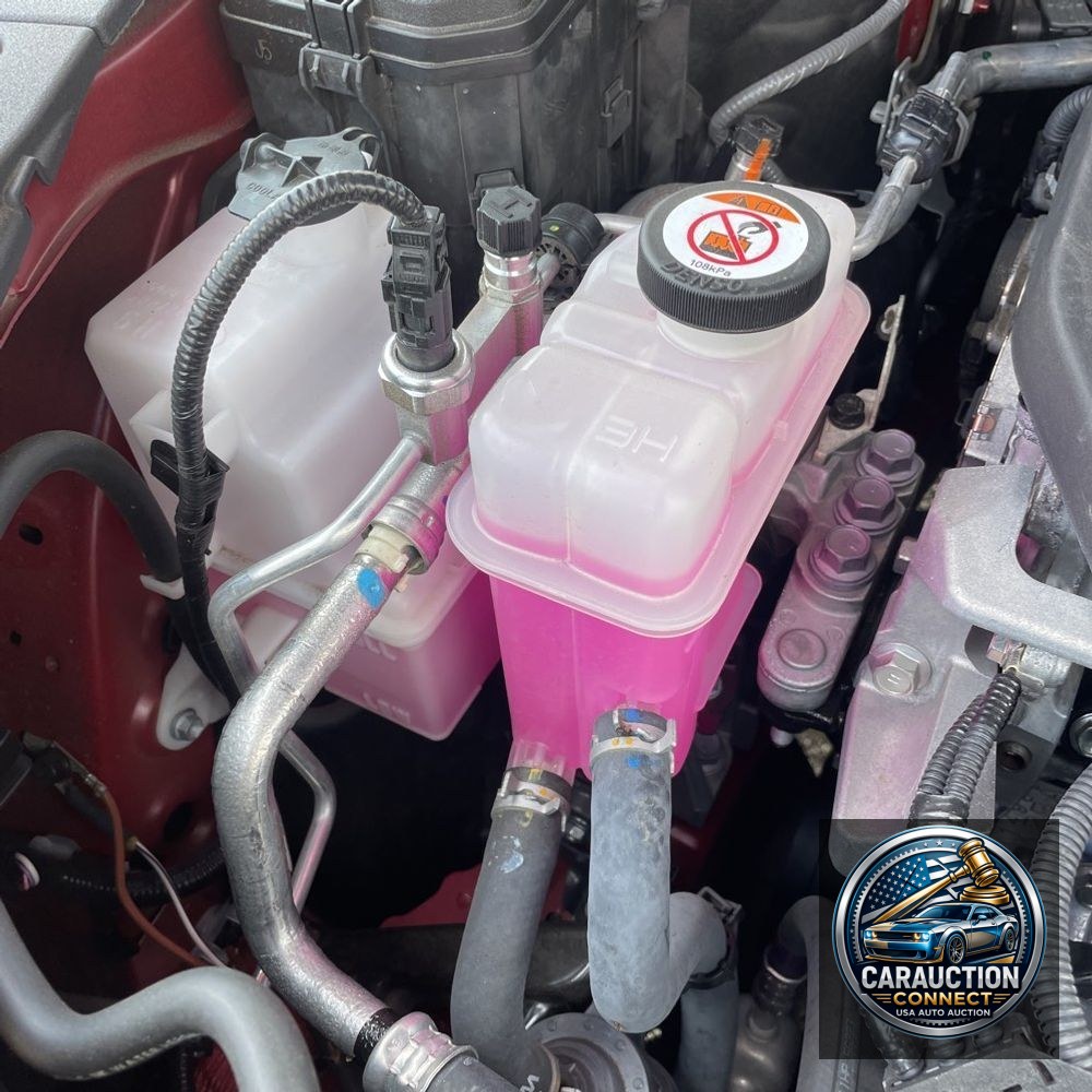 2024 Lexus RX 350h Premium+