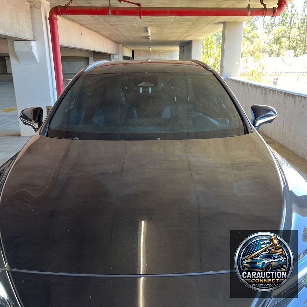 2024 Lexus RX 350h Premium