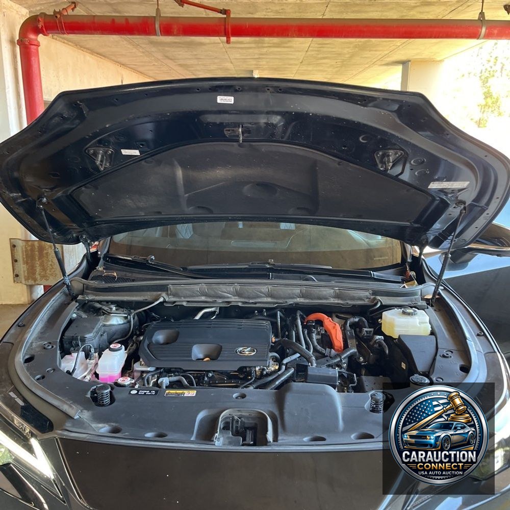 2024 Lexus RX 350h Premium