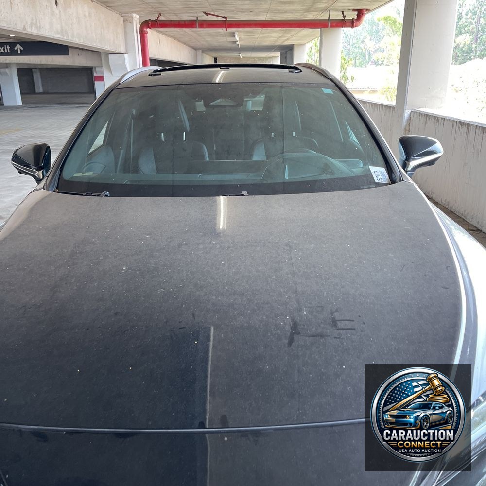 2024 Lexus RX 350h Premium+