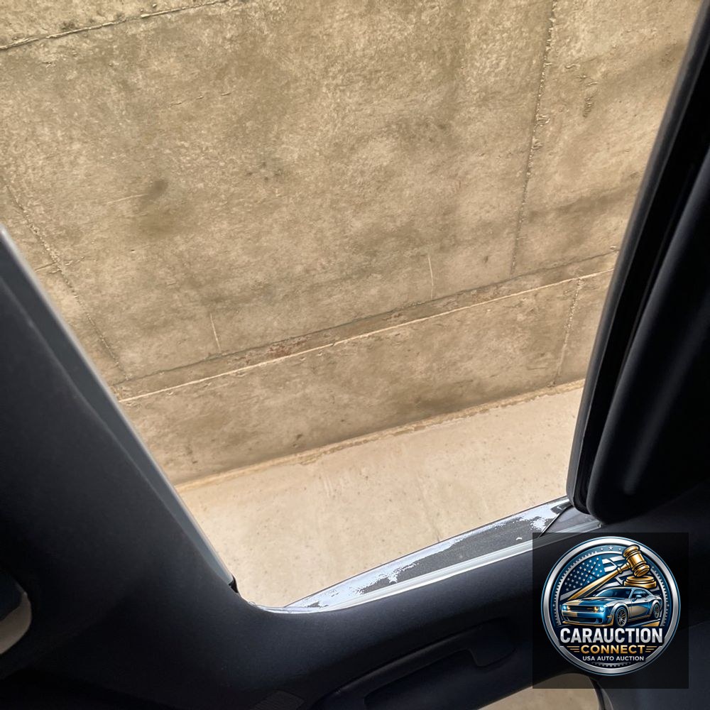 2024 Lexus RX 350h Premium+