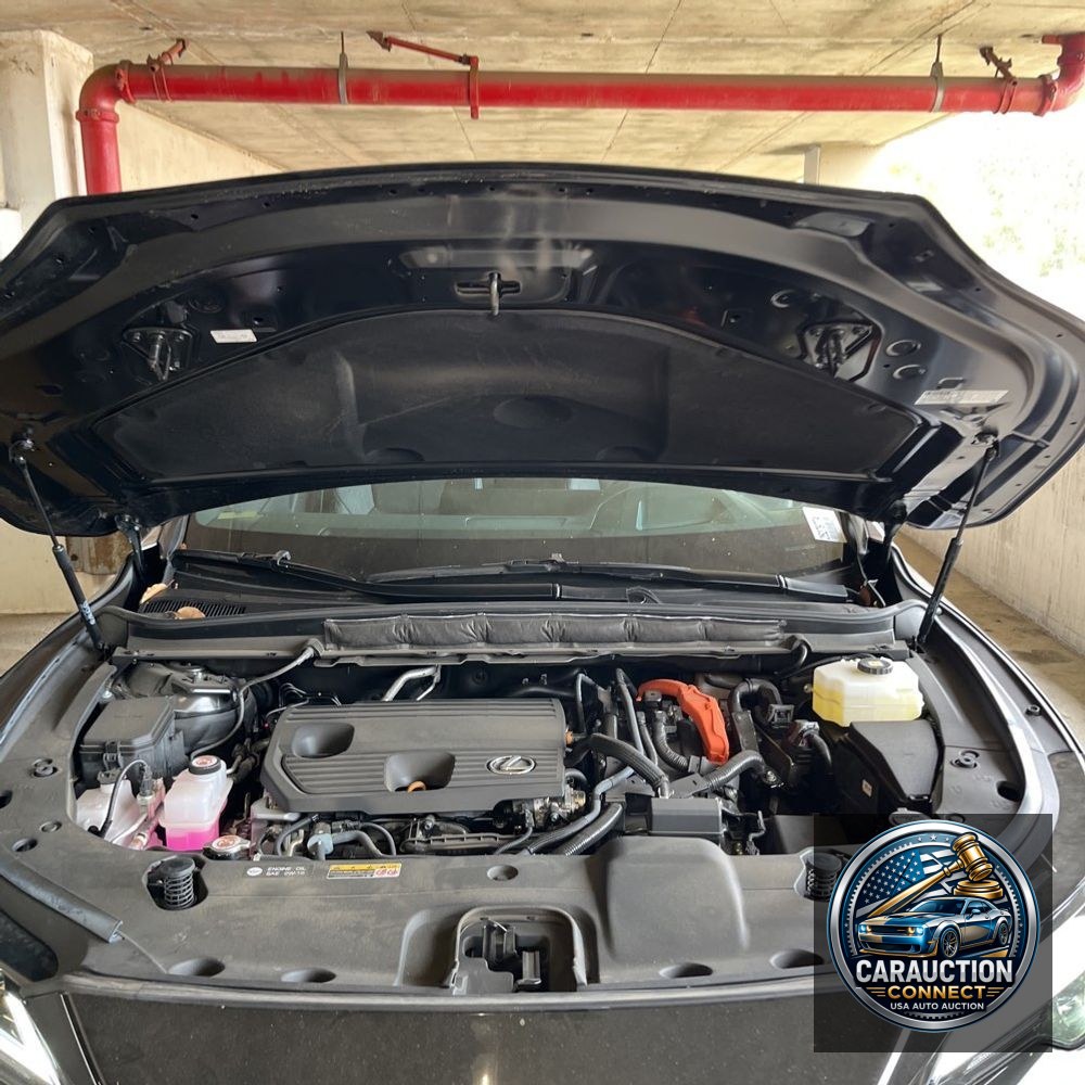 2024 Lexus RX 350h Premium+