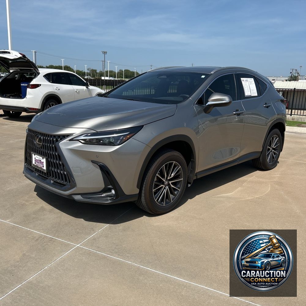 2025 Lexus NX 250 Premium
