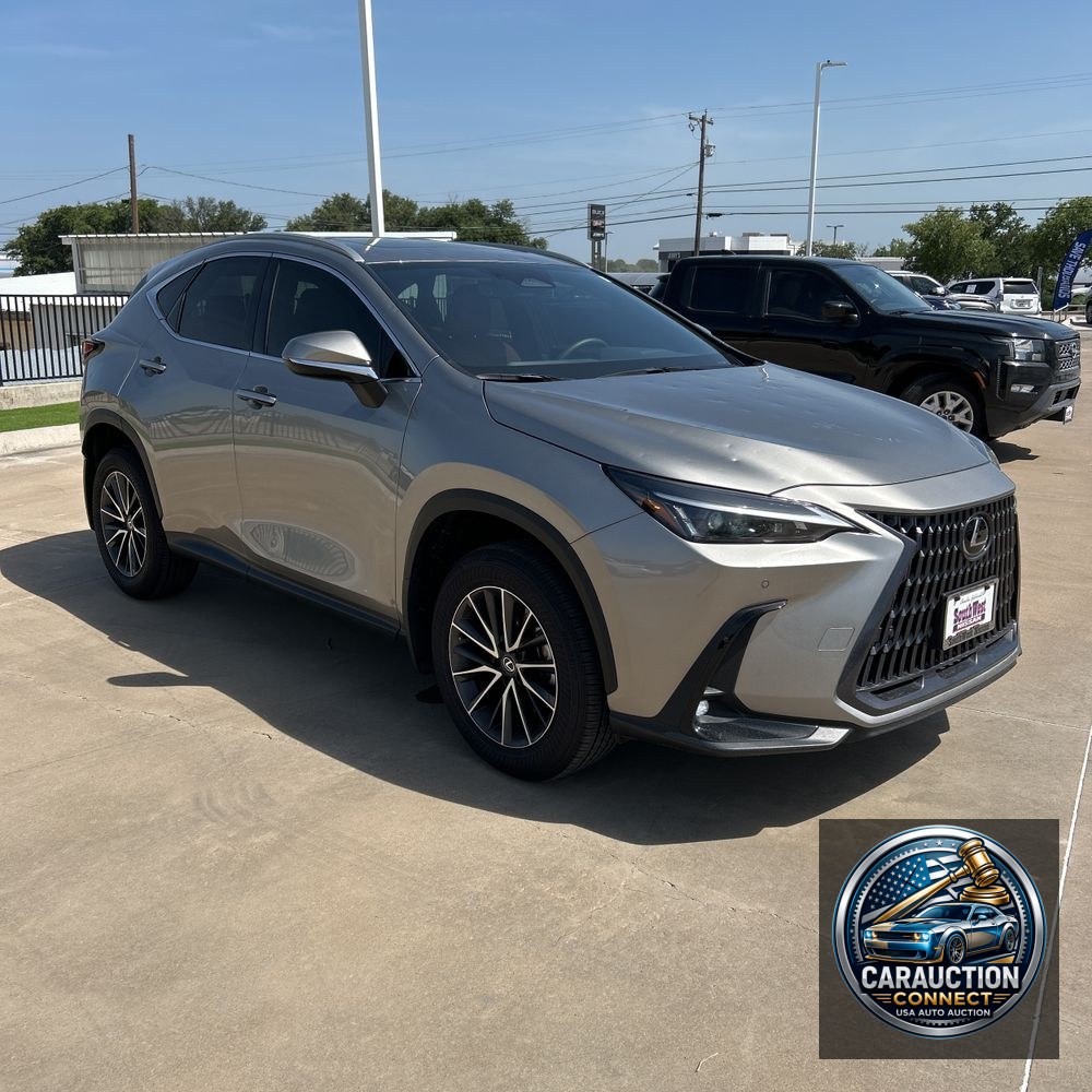 2025 Lexus NX 250 Premium