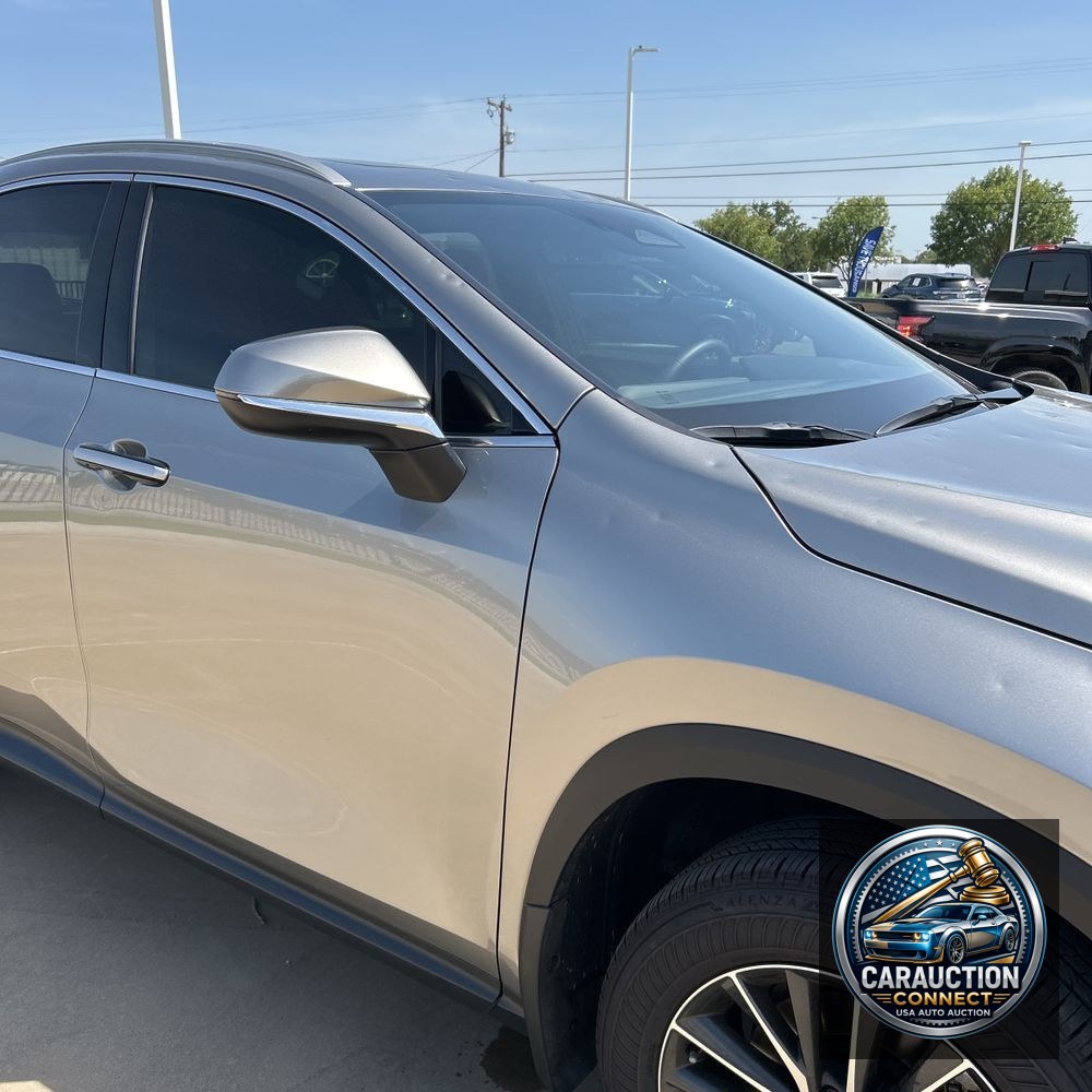 2025 Lexus NX 250 Premium