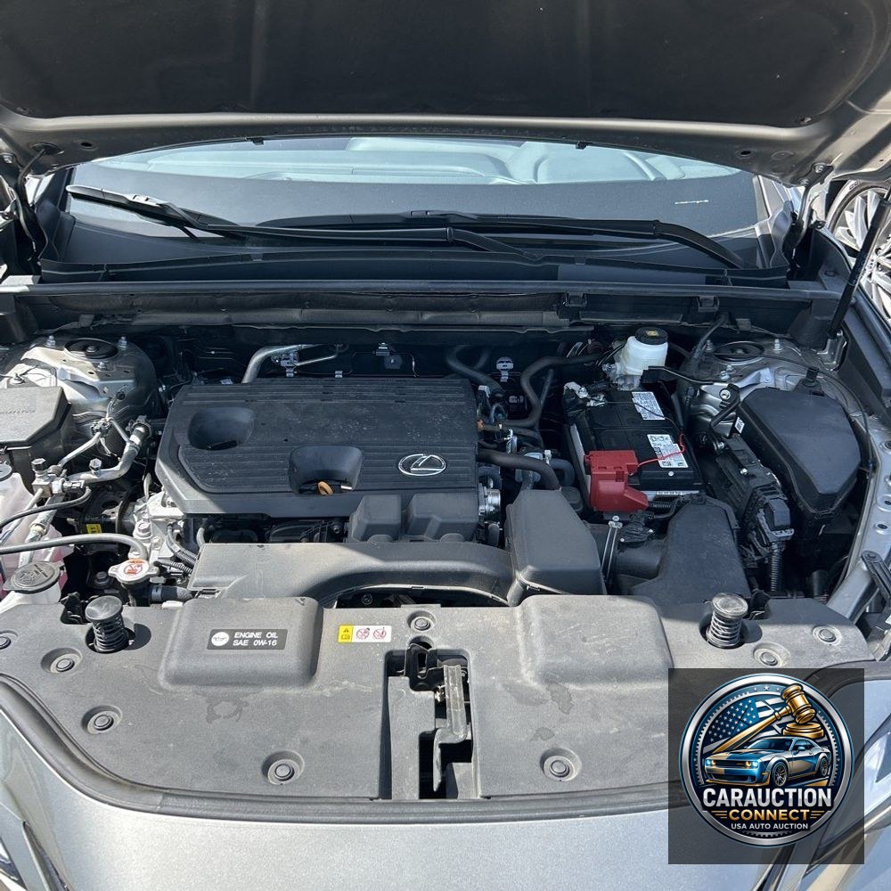 2025 Lexus NX 250 Premium
