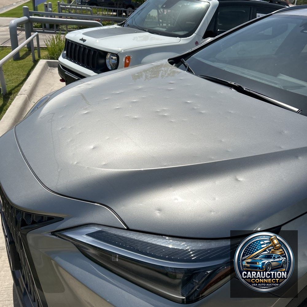 2025 Lexus NX 250 Premium