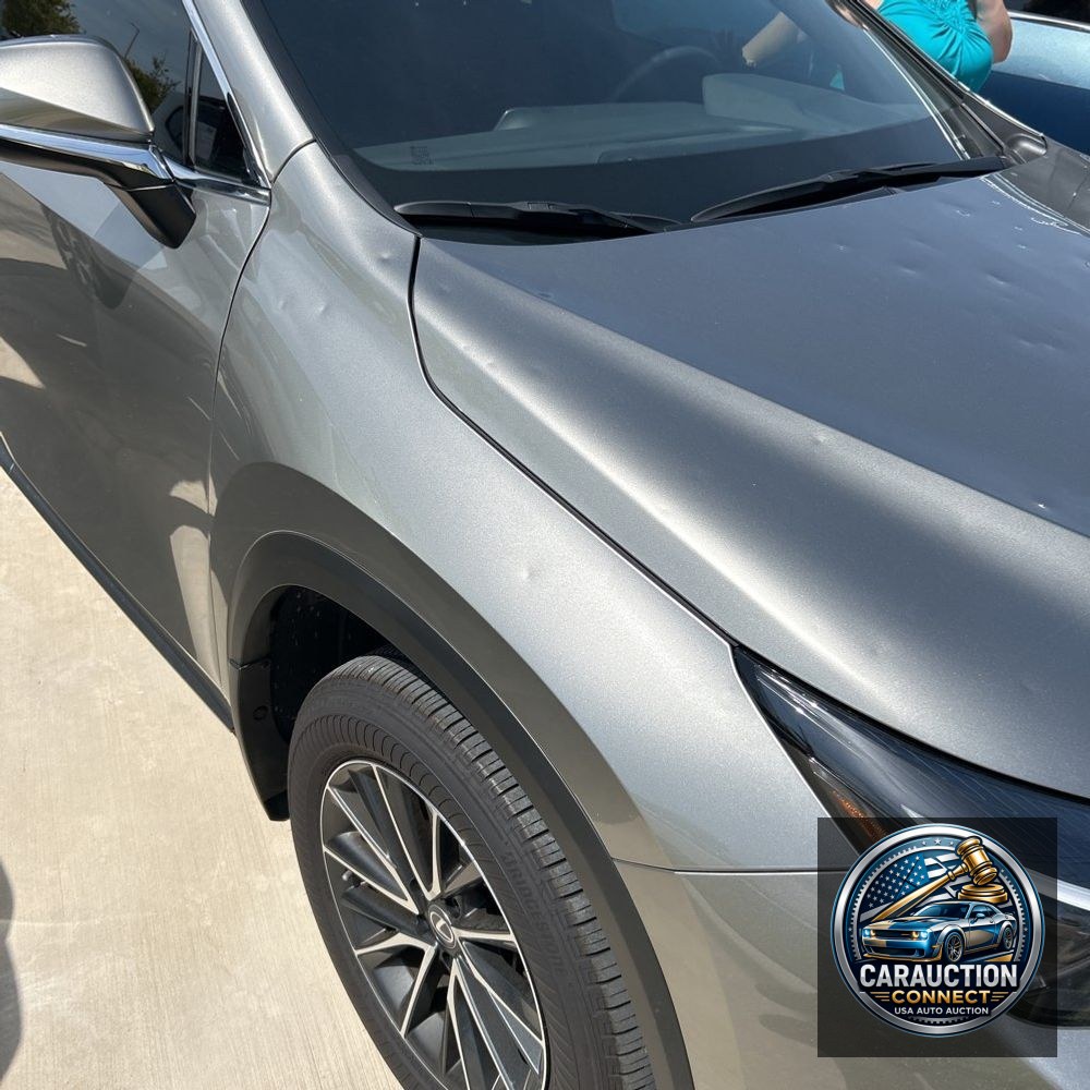 2025 Lexus NX 250 Premium