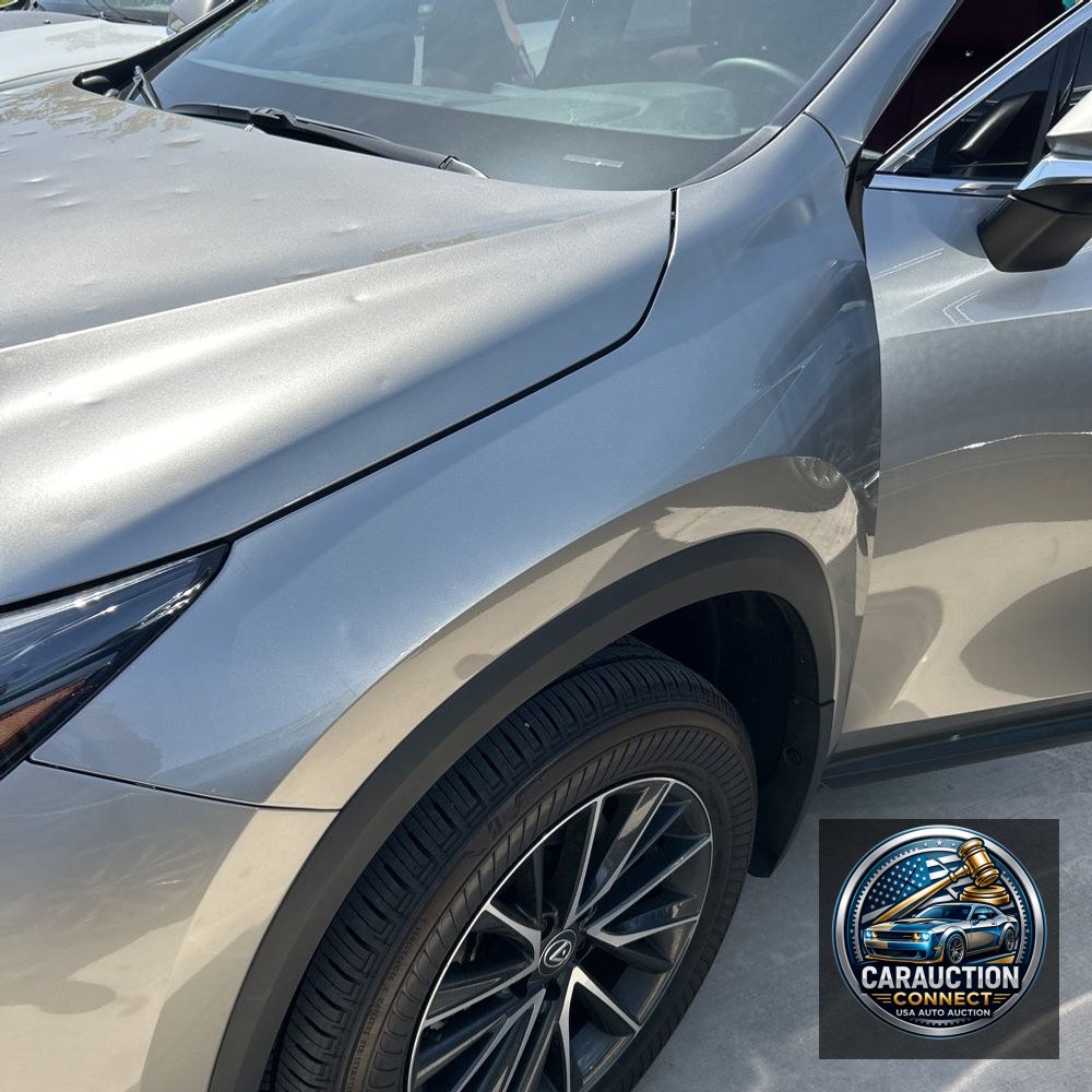 2025 Lexus NX 250 Premium