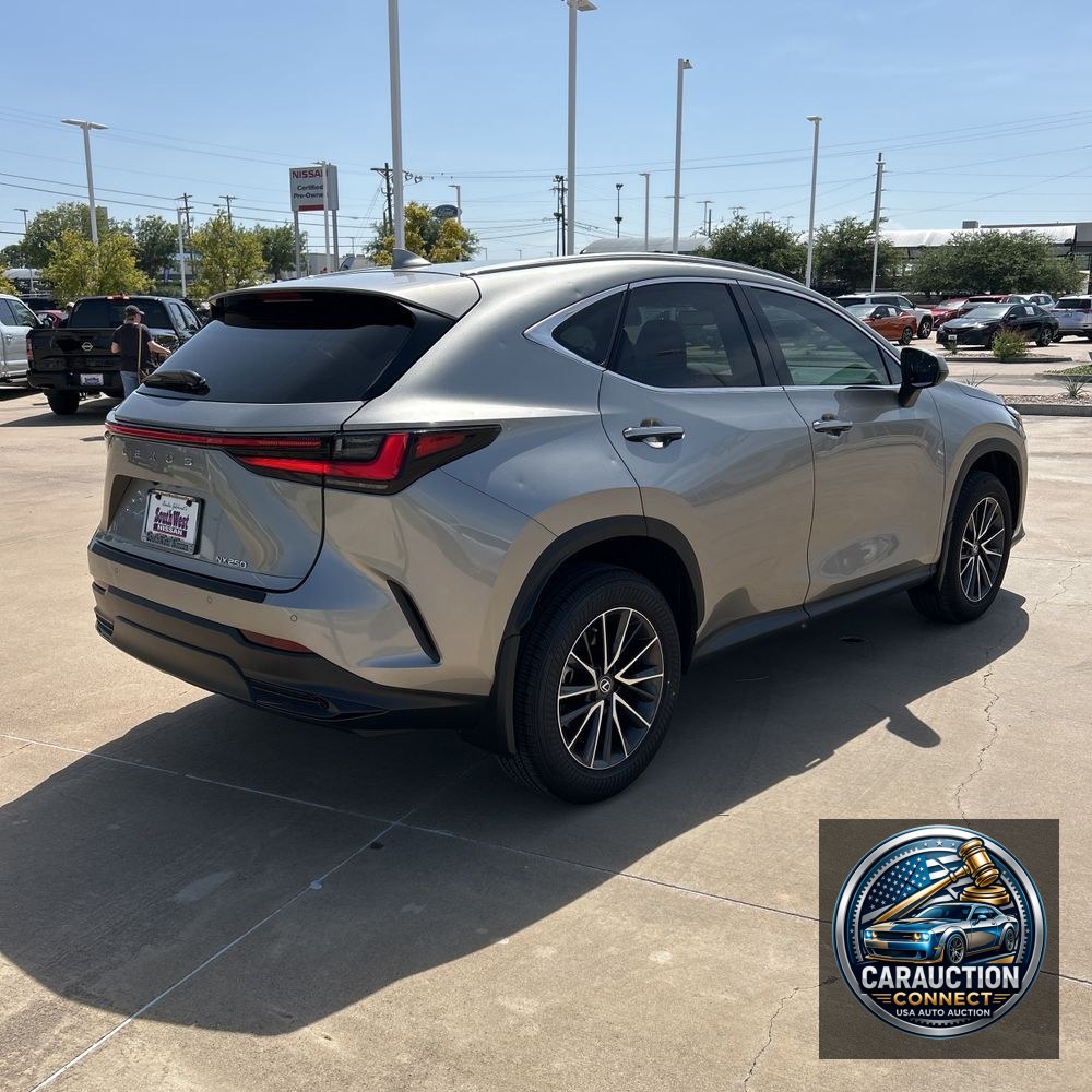 2025 Lexus NX 250 Premium