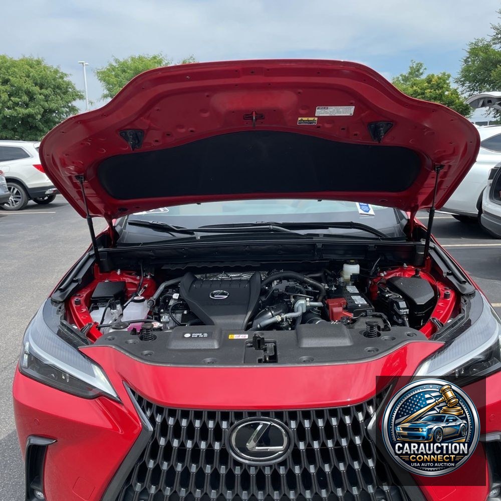 2025 Lexus NX 350 Premium