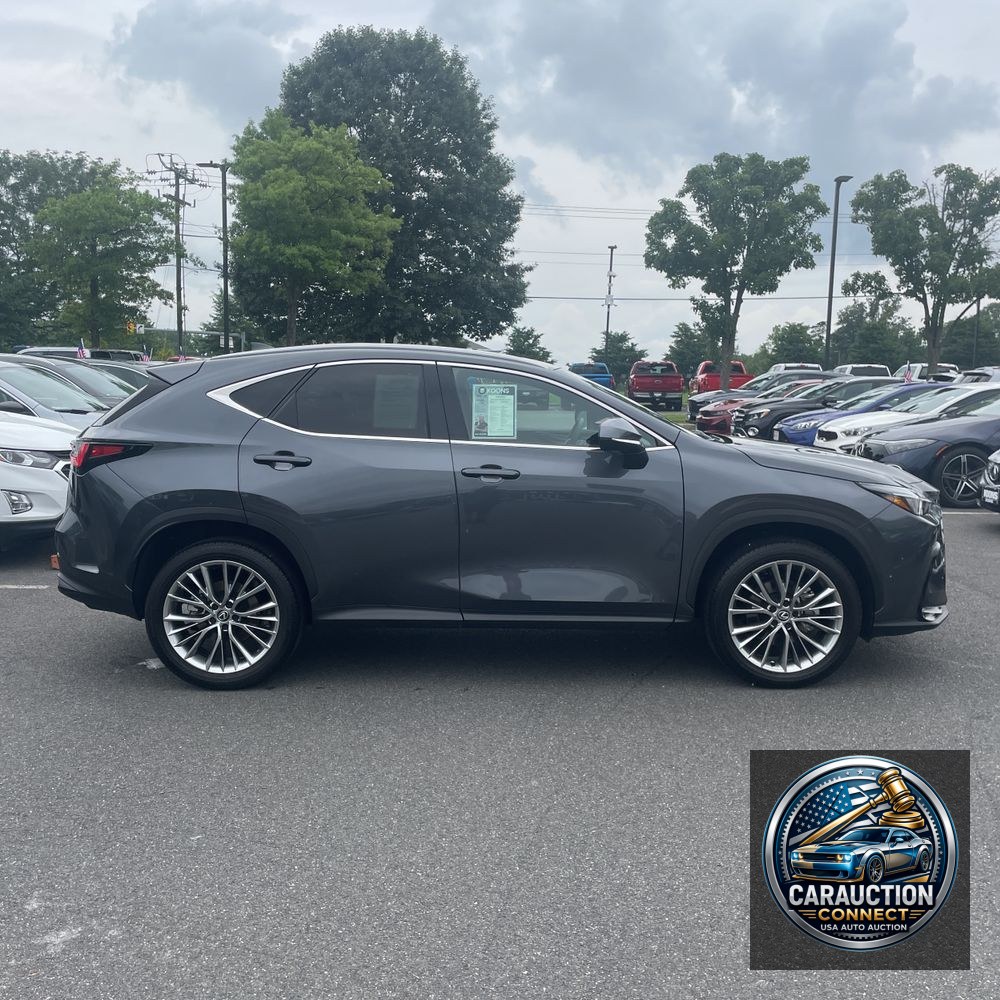 2025 Lexus NX 350 Premium